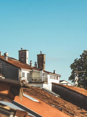 pexels-jokassis-15059619