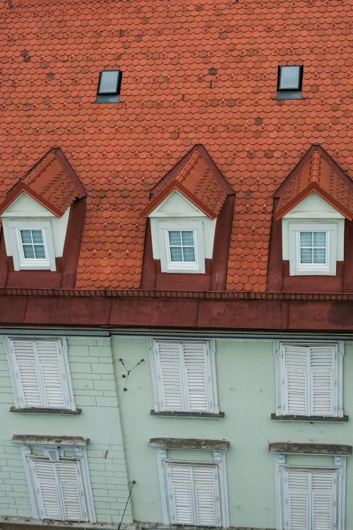 pexels-picmatti-33159756